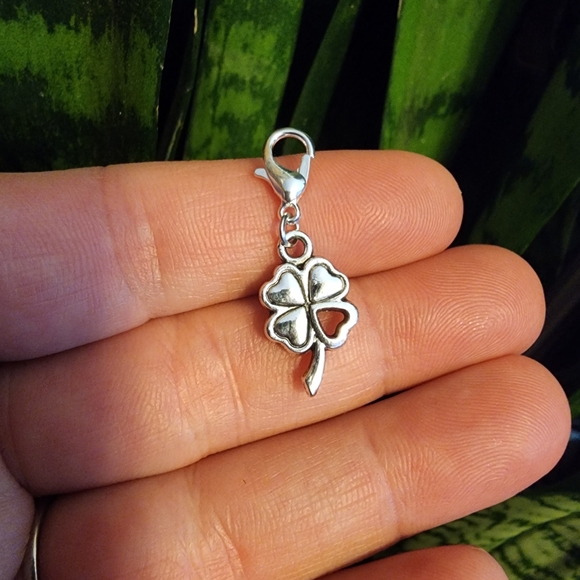 5/$25 Irish Shamrock Heart Charm for Bracelet St Patrick's Day Clover Bag Clip - Picture 5 of 13